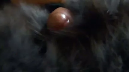 Manden viste MILF, hvad hårdt anal køn er og tissede på hende