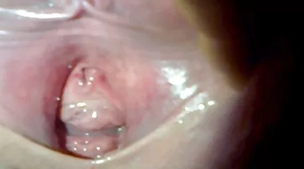 To liderlige sluts lykønskede fødselsdag dreng med gruppe anal køn